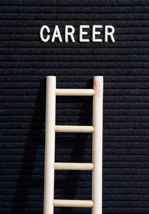 Career